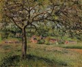 Apfelbaum in eragny 1884 Camille Pissarro